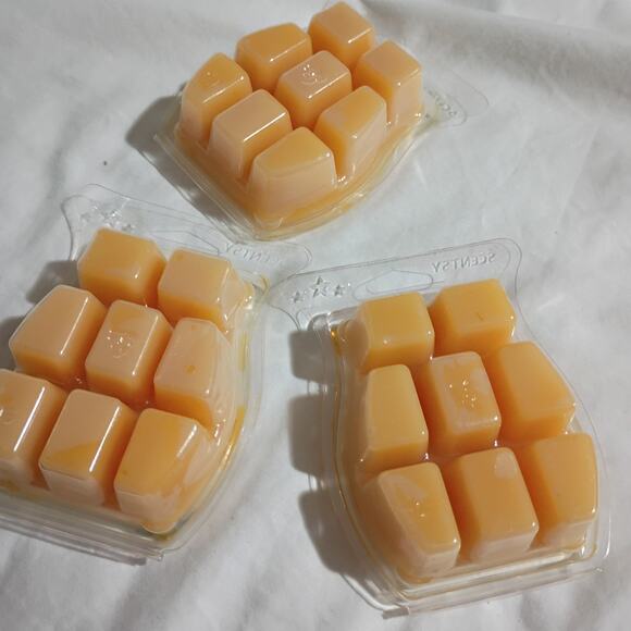 Scentsy Bar BEACH 3.2 oz Authentic(Set of 3) scented wax - Picture 3 of 3